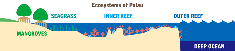 Palau ecosystem