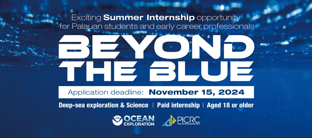 BEYOND THE BLUE: Exciting Summer Internship opportunity for Palauan students and early career professionals!