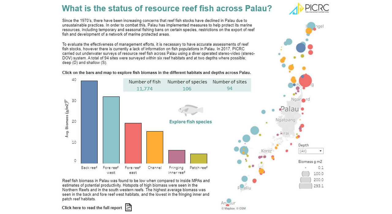 the status of resource reef fish across Palau