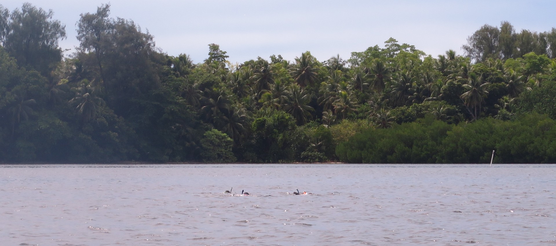 Palau International Coral Reef Center publishes two technical reports on the status of Palau’s environment