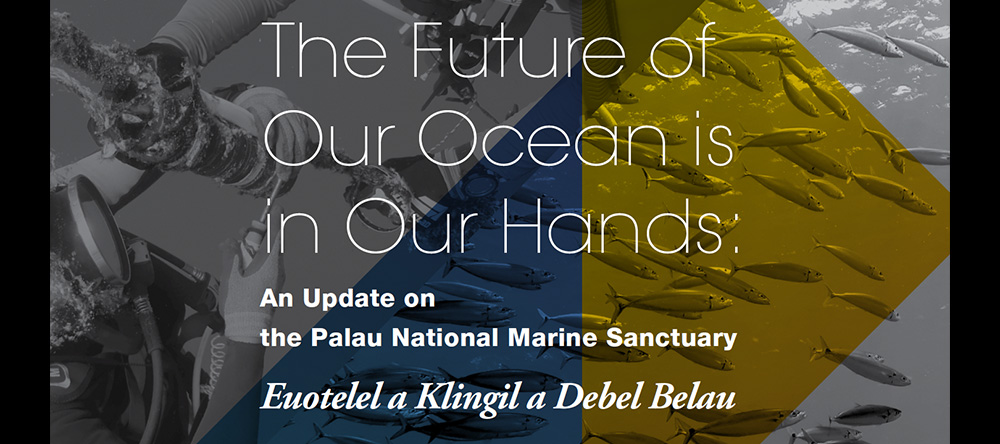 The Future of Our Oceans is in Our Hands: An update on PNMS – Euotelel a Klingil a Debel Belau