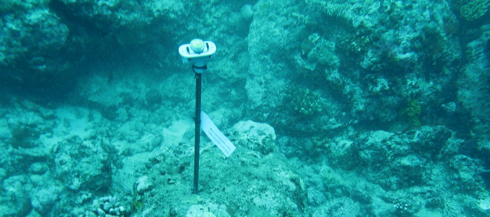 PICRC researchers deploy sensors to monitor conditions leading to a coral bleaching event