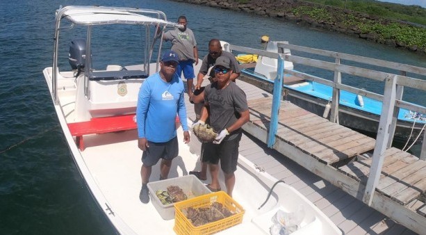 Palau International Coral Reef Center and Ngiwal State Government Mark World Mangrove Day with Clam Planting Initiative to Boost Ecotourism