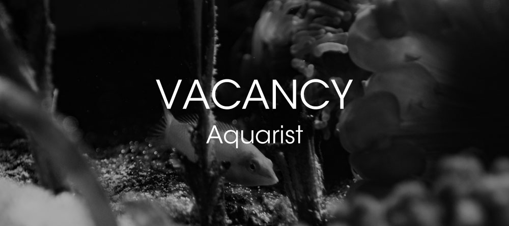Vacancy - Aquarist