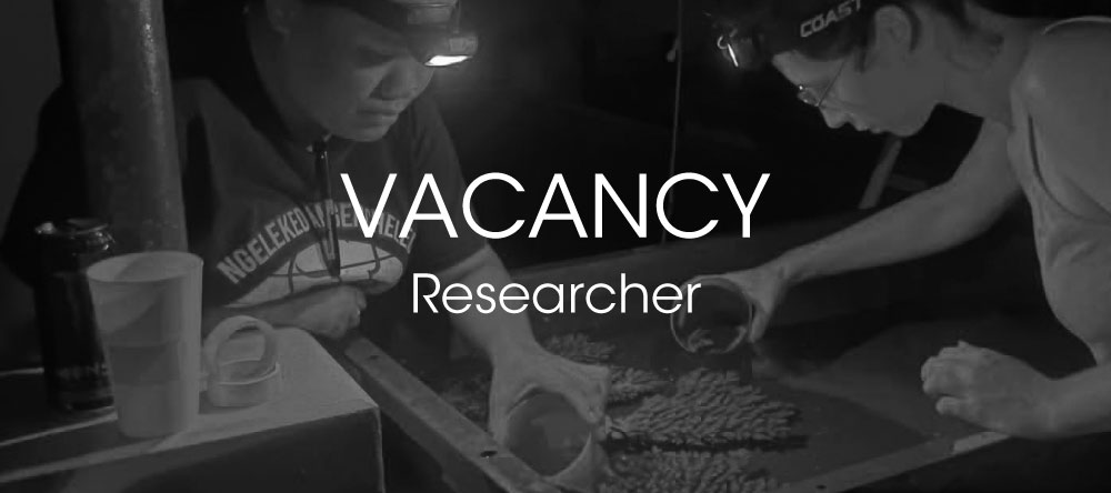 Vacancy - Researcher
