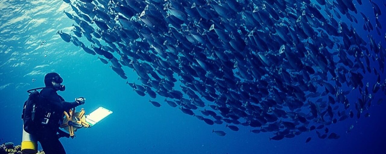 Dr. David Williamson Appointed to PICRC Board of Directors