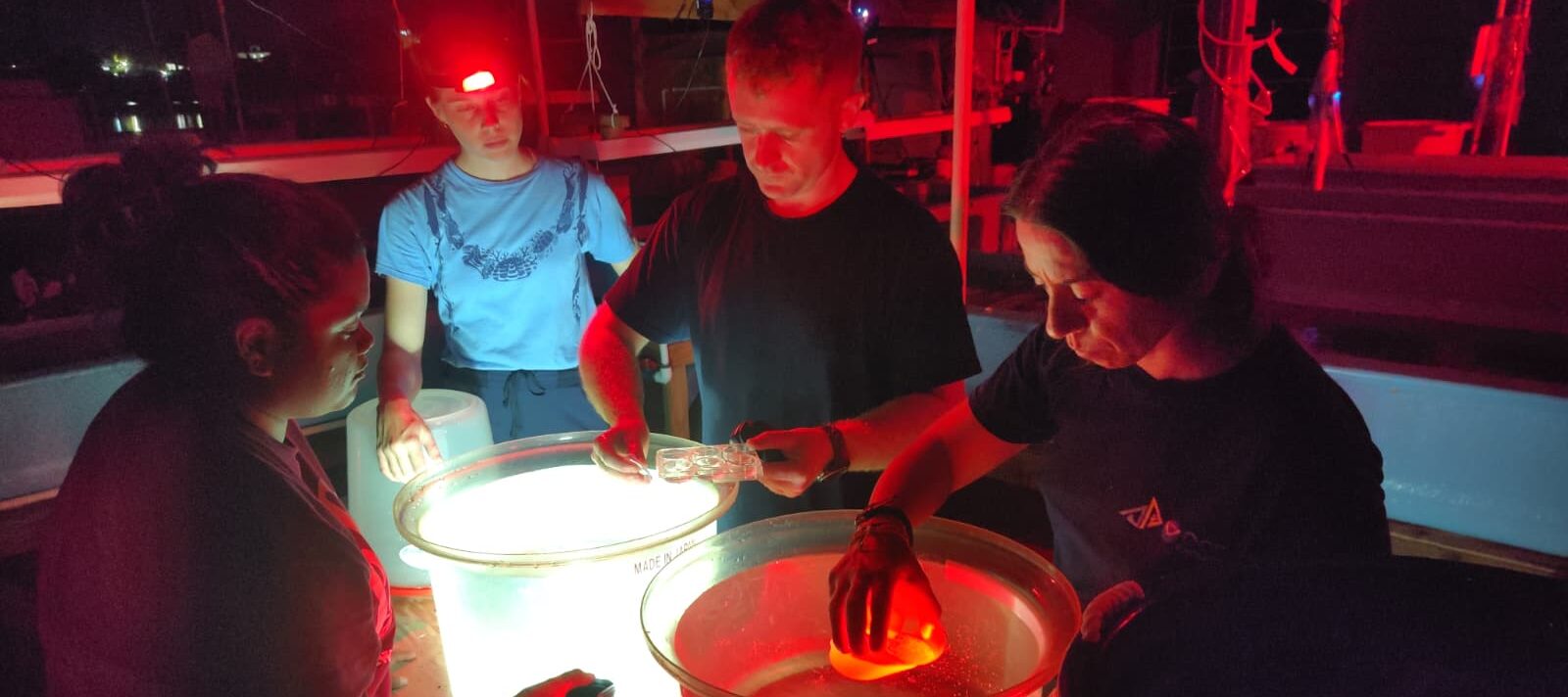 Nearly 40,000 Coral Juveniles Produced at PICRC to Support Reef Restoration